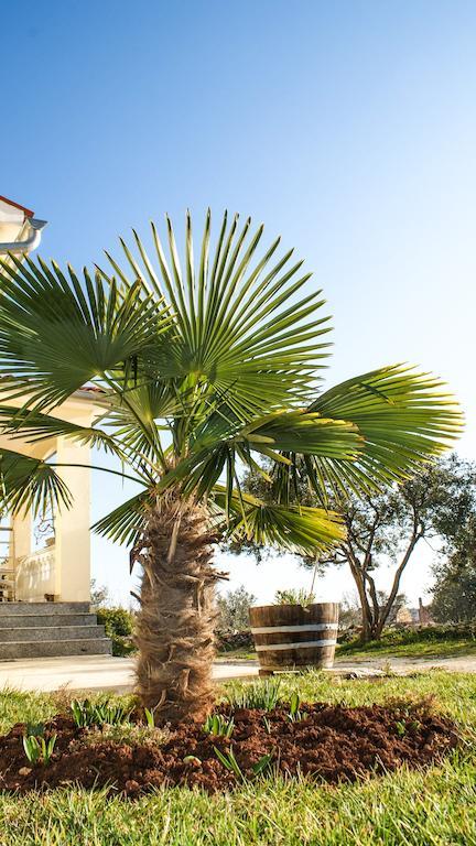 Guest House Croatia Fažana Exterior foto